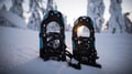 Snowshoeing in the Arctic Circle Forest