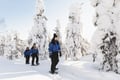 Snowshoeing in the Arctic Circle Forest