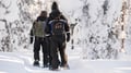Snowshoeing in the Arctic Circle Forest