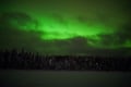 Northern Lights Tour with Professional Camera