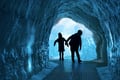 Reykjavik City Private Tour: Perlan, Arbaer & City Landmarks