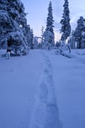 Snowshoeing in winter wonderland