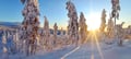 Snowmobile tour: 2 hour Snowmobile Safari to the Levi Nature