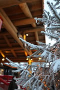 Santa Claus Village Visit
