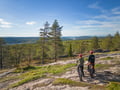 Electric Fatbike Tour from Rovaniemi