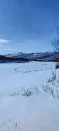 Husky farm visit, 1-hour program