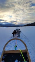 Husky farm visit, 1-hour program