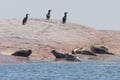 Private 2-Hour Helsinki Archipelago RIB Boat Cruise