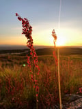 Midnight Sun Hike in Levi