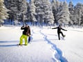 Snowshoeing Adventure in Lapland