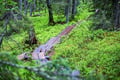 Korouoma canyon and Auttiköngäs waterfalls adventure
