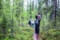 Korouoma canyon and Auttiköngäs waterfalls adventure