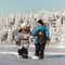Snowshoeing + Snowmobile safari + Glass igloo lunch