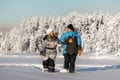 Snowshoeing + Snowmobile safari + Glass igloo lunch