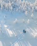 Snowshoeing + Snowmobile safari + Glass igloo lunch
