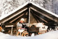 Snowshoeing + Snowmobile safari + Glass igloo lunch