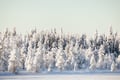 Snowshoeing + Snowmobile safari + Glass igloo lunch