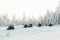 Snowshoeing + Snowmobile safari + Glass igloo lunch