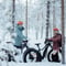 E-fatbike tour & Reindeer farm visit