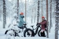 E-fatbike tour & Reindeer farm visit