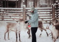 E-fatbike tour & Reindeer farm visit