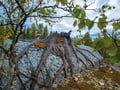 Elves Village Self-Guided Visit — entrance ticket, Levi