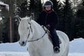 Riding Tour with Finnhorses at Santa Claus Village