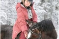 Riding Tour with Finnhorses at Santa Claus Village