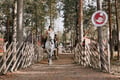 Riding Tour with Finnhorses at Santa Claus Village