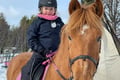 Riding Tour with Finnhorses at Santa Claus Village
