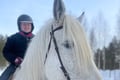 Riding Tour with Finnhorses at Santa Claus Village