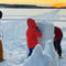 Arctic Family Day with Lunch