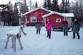 Arctic Family Day with Lunch