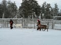 Arctic Family Day with Lunch