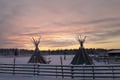 Super reindeer safari