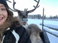 Super reindeer safari