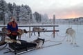 Super reindeer safari