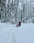 Snowmobile Safari in Helsinki Archipelago