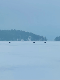 Snowmobile Safari in Helsinki Archipelago