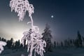 Ski Trekking by Night (Private Aurora Borealis Tour)
