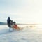 Kemijärvi: Insider Husky Self Drive 5km Safari