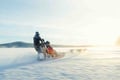 Kemijärvi: Insider Husky Self Drive 5km Safari