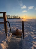 Helsinki: Authentic Finnish Floating Sauna Experience & Guide