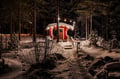 Private Reindeer Feeding & Wilderness Sauna with Ice-Swimming