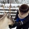 Private Reindeer Feeding & Wilderness Sauna with Ice-Swimming 