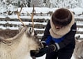 Private Reindeer Feeding & Wilderness Sauna with Ice-Swimming