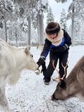 Private Reindeer Feeding & Wilderness Sauna with Ice-Swimming