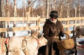 Private Reindeer Feeding & Wilderness Sauna with Ice-Swimming
