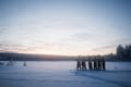 Skiing and Fishing on Ice Adventure