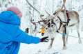 COMBINED SNOWMOBILE AND REINDEER SAFARI (1km)